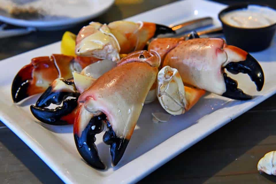 Stone-Crab-Famous-Miami-Food