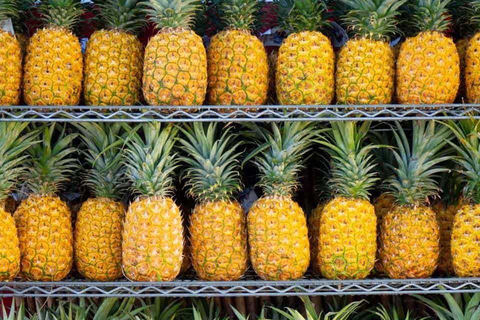 Pineapples-Hawaii