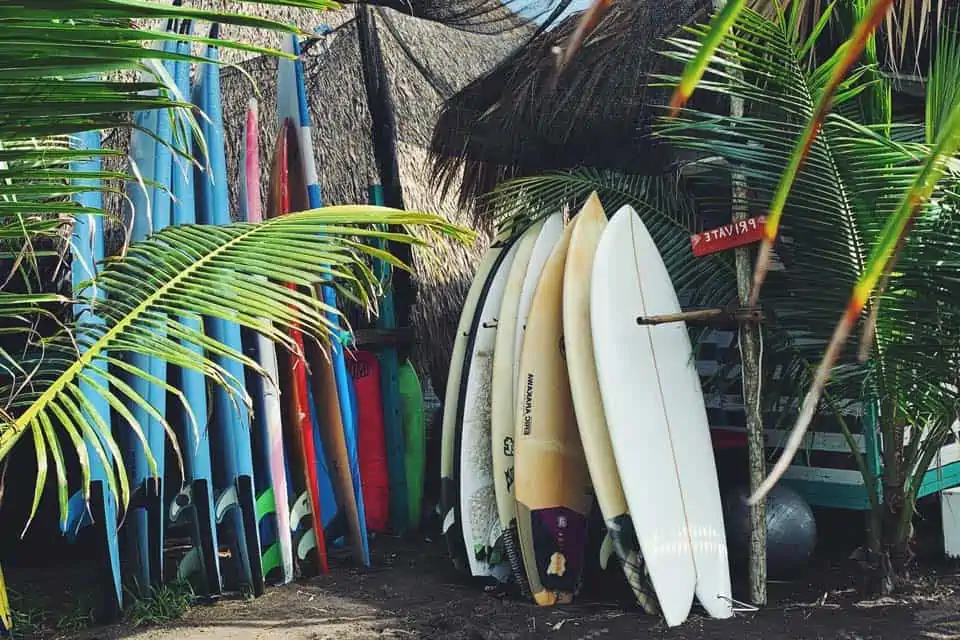 Discover El Paredon, Guatemala Things To Do + FAQs Answered LivingOutLau