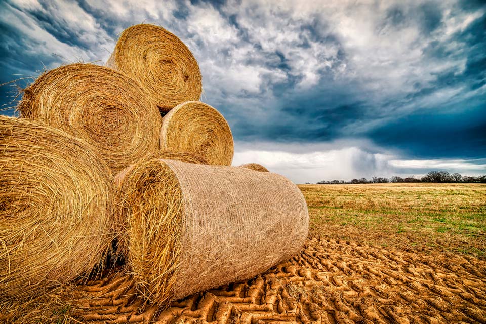 Tennessee-Farms-and-Agriculture