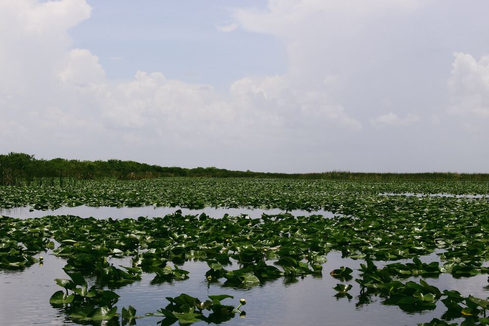 Everglades-National-Park