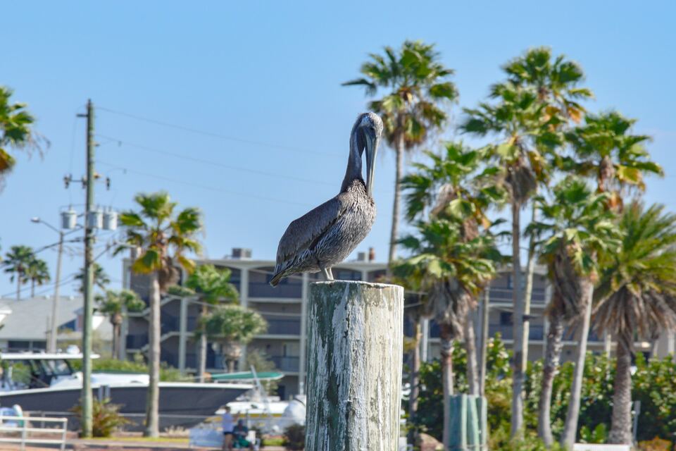 Madeira-Beach-FL-USA